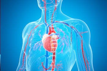 Fort Worth Heart Services - Vascular Medicine